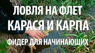 Ссылка