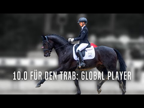 10.0 für den Trab 🤩 | Global Player und Eva Möller | Erneut qualifiziert zum Bundeschampionat