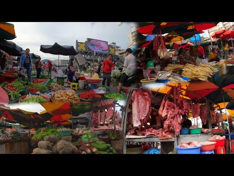 Cambodian Routine Fresh Market Vegetable Compilation - Best Cambodian Marketplace Tour In The City