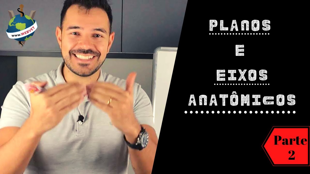 Planos e Eixos Anatômicos 2 | WEBVET