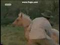 BelBel Saves Thowra The Silver Brumby