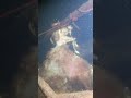 This Was A Creepy Find Whilst Scuba Diving