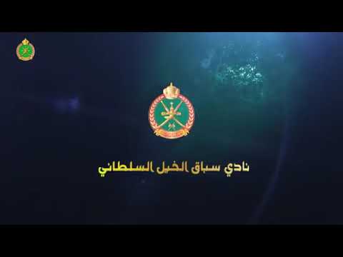 السباق الثاني - الشوط السابع - 27/10/2018 - 2nd meeting 7th race