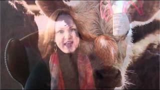 Ree Drummond making of The Pioneer Woman Black Heels to Tractor Wheels Audiobook