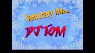 January 2016 Remix of popular Songs | DJ Tom