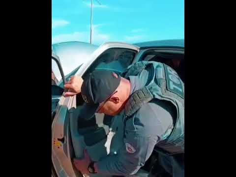 Polícia Rodoviária apreende 225 tijolos e pacotes de drogas escondidos em teto e portas de Citroen