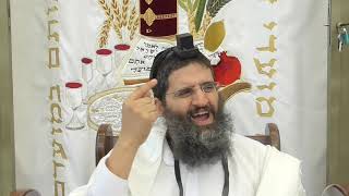 הרב אופיר טנג'י  -   ארוויזיון או ארו-ביזיון!!!! - מוסר חזק לשבת קודש!