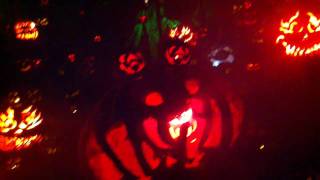 Jack 'O Lantern Spectacular at Roger Williams Park