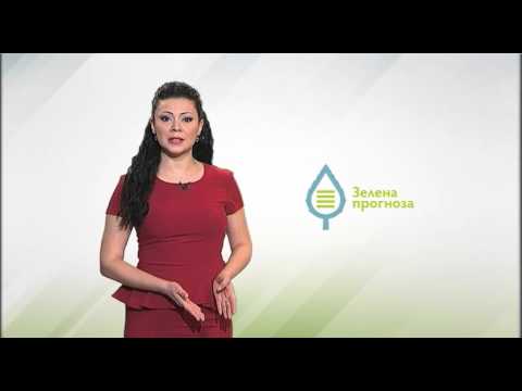 Zelena prognoza, 2.5.2016. - O pepeljastom grožđanom moljcu