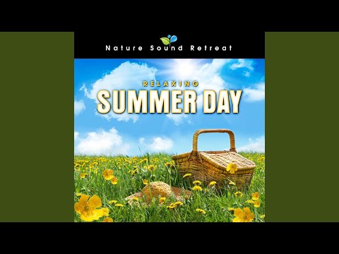 Relaxing Summer Day by a Meadow Stream with Birds and Wildlife Sounds