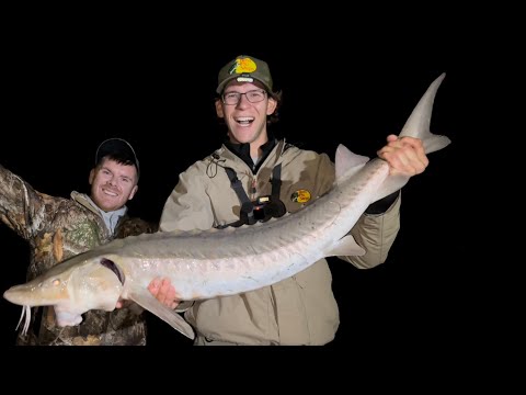 How To Catch, Clean, And Cook, Sturgeon! Collab Fishing Video With Johnny Trucking Outdoors!