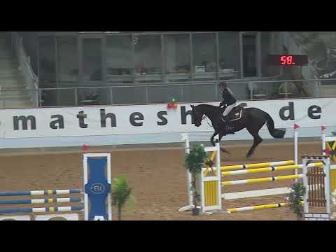 DONNA Z (5yo Dominator 2000 Z) 02.22 Kreuth - SPF A**