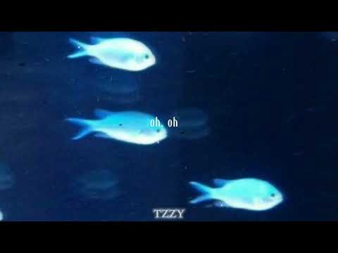 Time to Go - Martina Farstad (LYRICS)