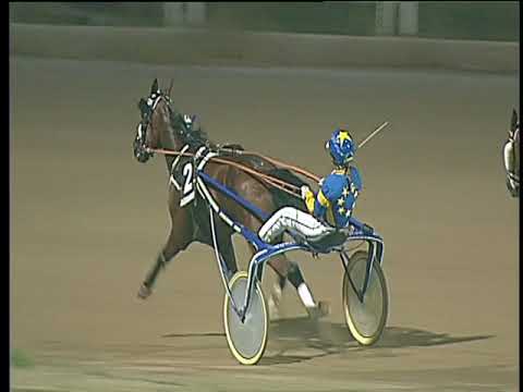 Trotto 19/08/2017 - 3ª corsa