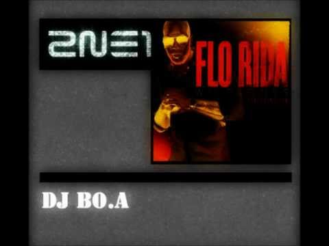 2NE1 vs. Flo Rida - Ugly [DJ BO.A Mashup]