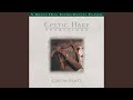 Sally Gardens Medley: Down By The Sally Gardens/I Know My Love/Yellow-Haired Lad (Celtic Harp...