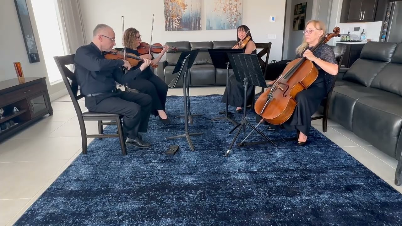 Promotional video thumbnail 2 for Avanti Strings