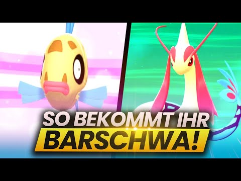 So bekommt ihr BARSCHWA und MILOTIC in Pokemon Strahlender Diamant und Leuchtende Perle!