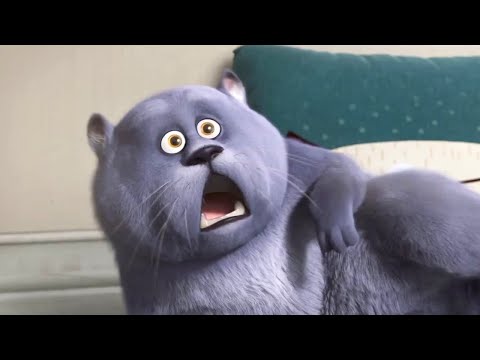 Mèo Mập Đi Phượt