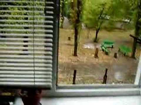 19-10-2005-rainy-day