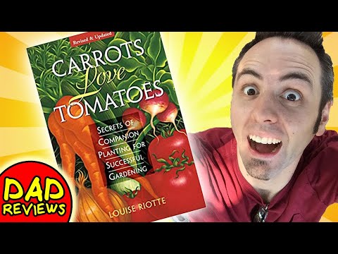BEST COMPANION PLANTING | CARROTS LOVE TOMATOES: Companion Planting for Successful Gardening Review