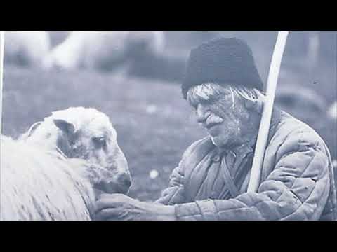 Miorita, poezie populara culeasa de Vasile  Alecsandri