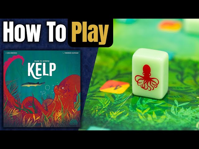 Kelp: Shark vs Octopus video thumbnail
