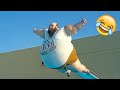 Funniest Video Ever😂 - Memes, Fails, Pranks, and Amazing Stunts 2024! | Juicy Life🍹