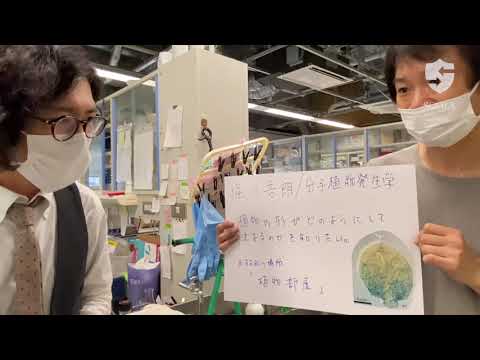 教育学科 【立教・理・生命】堀口吾朗研究室
