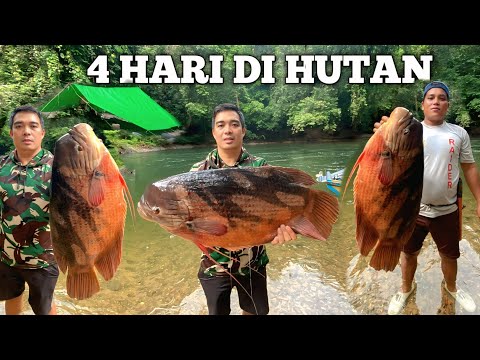Camping Hujan deras 4 Hari Pertualangan Bermalam di hutan  mencari ikan di sungai kapuas masak makan