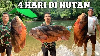 Download lagu Camping Hujan deras 4 Hari Pertualangan Bermalam di hutan  mencari ikan di sungai kapuas masak makan mp3 Download lagu Camping Hujan deras 4 Hari Pertualangan Bermalam di hutan  mencari ikan di sungai kapuas masak makan mp3