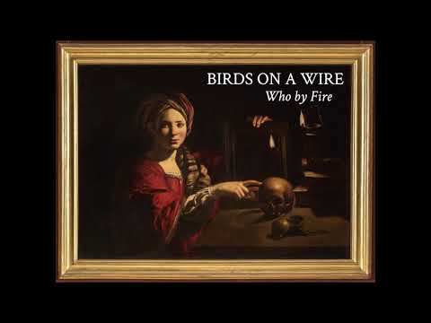 Birds On a Wire | Who by Fire (Official Audio)