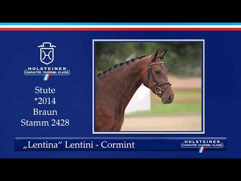 Holsteiner Sommerauktion | Nr. 19 - Lentina v. Lentini - Cormint