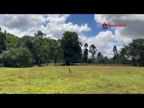 5 000 m2 listos para tu proyecto  Guácimo, Limón