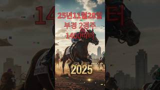 25년 11월 28일 금요일 부경2경주 분석 및 예측 1200미터 #부경경마#주말경마#금요경마#11월경마