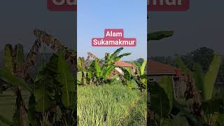 Download lagu Memory-Ruth Sahanaya, lagu lawas sambil menikmati alam Sukamakmur mp3