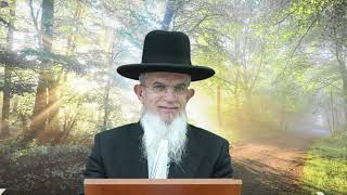 דרך השם רמח"ל I חלק ב - פרק 4, ישראל ואומות העולם I הרה"ג יוסף הללויה שליט"א I שיעור 111