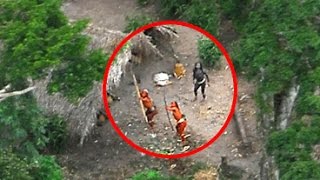 5 Unsolved Forest Mysteries From Around The World