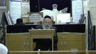 הרב אליהו גודלבסקי | עקשנות דקדושה - יח שבט עפולה שיעור מלא ומומלץ