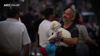 ance-avellino-propone-il-treno-diretto-per-napoli-progetto-per-unire-l-irpinia