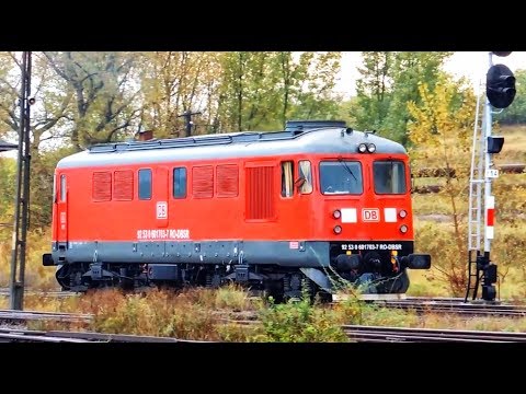 TRAINS FOR RAILFANS-#30-TRENURI PENTRU PASIONAȚI-EPISCOPIA BIHOR -ROMÂNIA