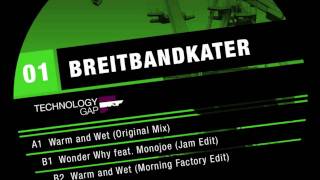 Breitbandkater - Warm and Wett (Original Mix) Technology Gap 001
