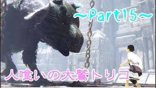 【実況】1人の少年と1匹の大鷲の新たなる神話【人喰いの大鷲トリコ】Part15