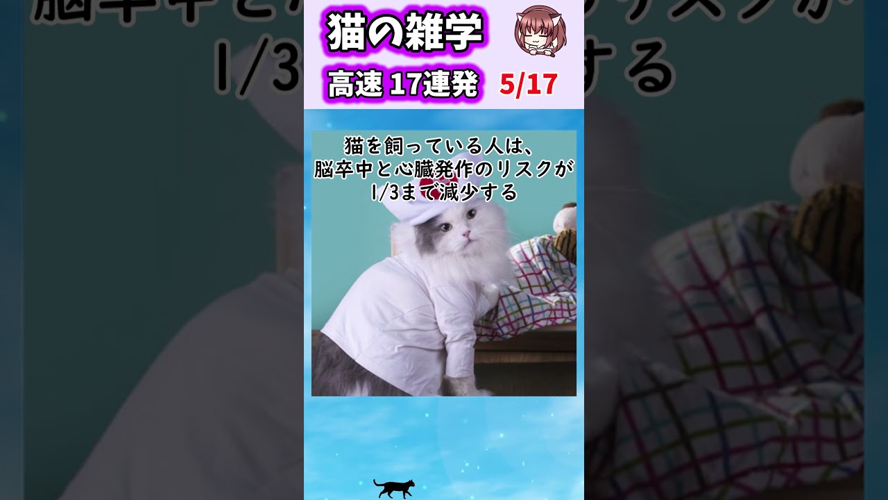 猫の雑学高速17連発！【Part2】#shorts