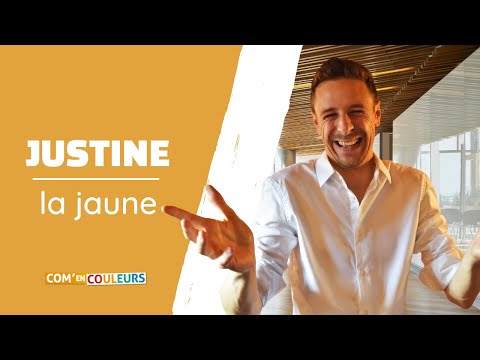 🟨 METHODE DISC : Comprendre le profil JAUNE