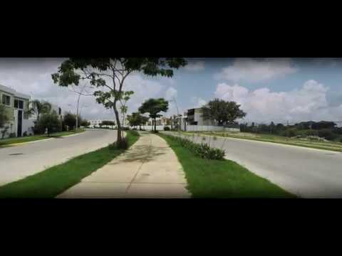 Altavista Running - DREAMER - Sako Isoyan, Irina Makosh