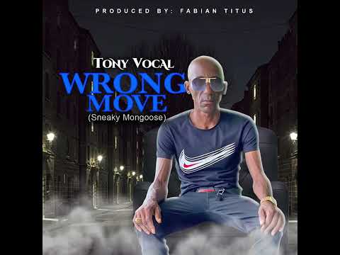 Tony Vocal - Wrong Move (audio) prod. Fabian Titus