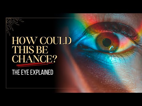 The Human Eye DESTROYS Evolution Theory