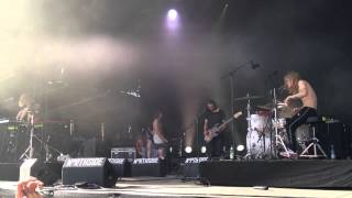 Reptile Youth Live at NorthSide, Speeddance ending