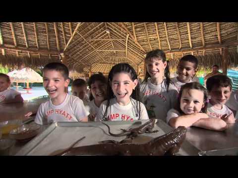 Discovery Channel    Worlds Best Beaches 2005 HDTV 720p   x264 1 002